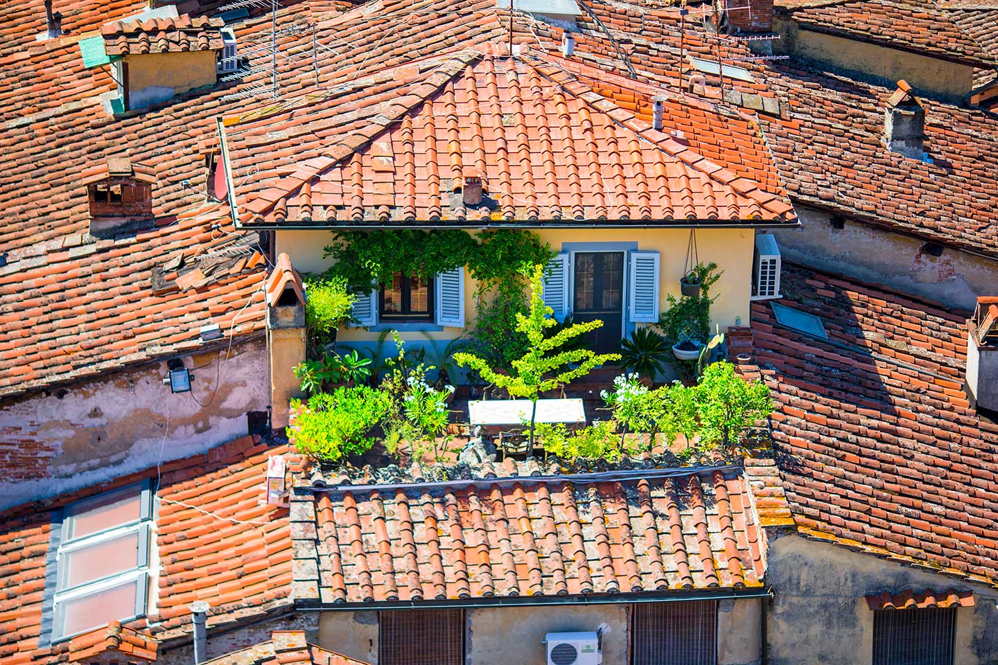casa-07 Casa unifamiliare con ampio giardino