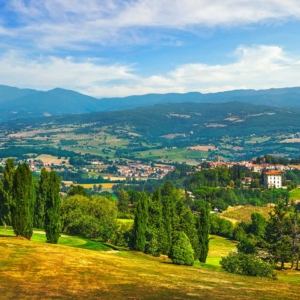 Pisa Oltre la Torre: Scopri la Bellezza Nascosta